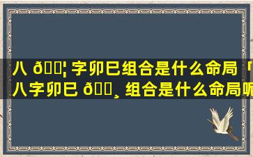 八 🐦 字卯巳组合是什么命局「八字卯巳 🌸 组合是什么命局呢」